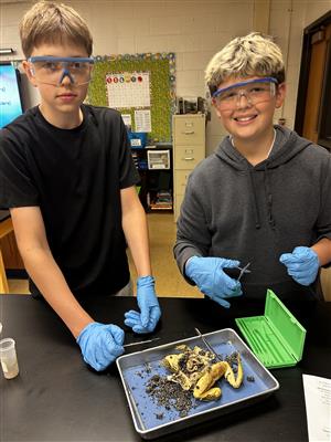 7th grade science dissection 2025 14.jpg